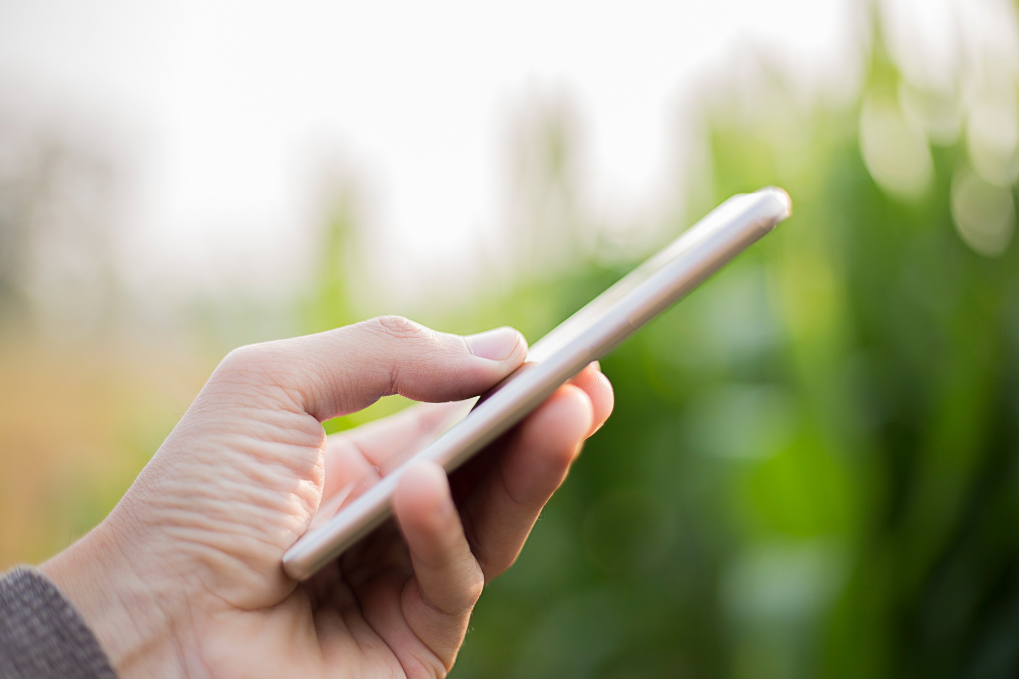 road in between brown wooden fences